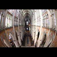 K�ln, Dom St.Peter und Maria, Blick vom Triforium im Chor in den gesamten Dom