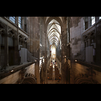 K�ln, Dom St.Peter und Maria, Blick vom Triforium an der Westwand ins Langhaus in Richtung Chor