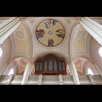 Weienhorn, Mari Himmelfahrt, Orgel und Blick ins Gewlbe