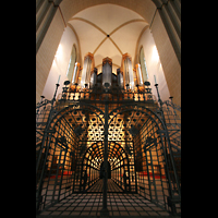 Paderborn, Dom St. Maria, St. Liborius und St. Kilian, Turmorgel mit Gitter