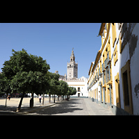 Sevilla, Catedral (Hauptorgel), Blick vom Patio de Banderas auf die Giralda der Kathedrale