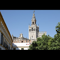 Sevilla, Catedral (Hauptorgel), Blick vom Patio de Banderas auf die Giralda der Kathedrale