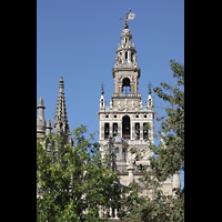 Sevilla, Catedral (Hauptorgel), Giralda von den Gärten der Alcazar aus gesehen