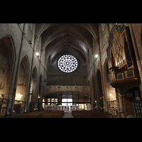 Barcelona, Basílica de Santa María del Pi, Innenraum in Richtung Rückwand mit großer Rosette