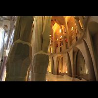 Barcelona, La Sagrada Familia (Krypta-Orgel), Blick vom Triforium auf die sich baumkronenförmig aufspaltenden Säulen