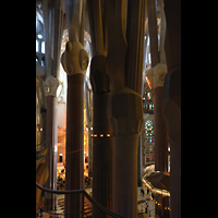Barcelona, La Sagrada Familia (Krypta-Orgel), Blick vom Triforium auf die sich baumkronenförmig aufspaltenden Säulen