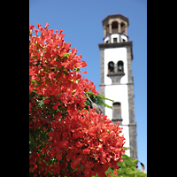 Santa Cruz de Tenerife (Teneriffa), Nuestra Señora de la Concepción, Turm und blühende Bäume auf dem Plaza de La Iglesia