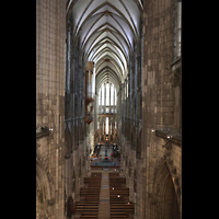 Kln, Dom St.Peter und Maria (Chor- / Marienorgel), Blick vom westlichen Triforium in den Dom und zur Langhausorgel