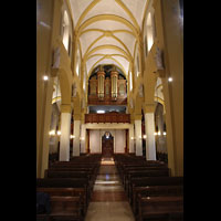 Bergen, St. Paul, Innenraum in Richtung Orgel