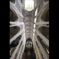 Hauptschiffgewölbe und Hauptorgel ´s-Hertogenbosch, Sint Janskathedraal, Hauptschiffgewölbe und Hauptorgel